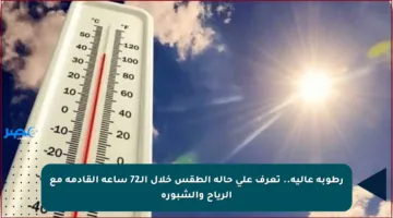 رطوبة عالية.. تعرف على حالة الطقس خلال الـ72 ساعة القادمة مع الرياح والشبورة